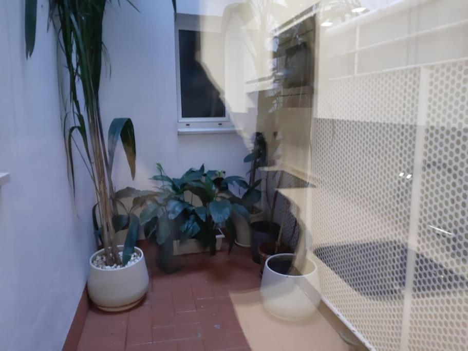Apartment Nuevo-luminoso Y Moderno. Parking Gratis!! Seville